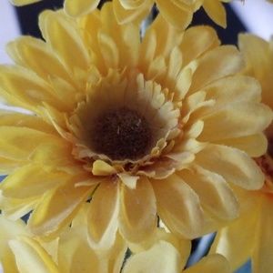 Meet your Posher, Lee